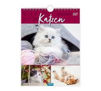 Trötsch Wochenkalender zum Hängen Katzen 2027