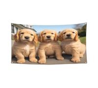 Trois adorables drapeaux de fête pour petits chiens, décoration extérieure et intérieure, durable et résistant aux UV, parfait pour un anniversaire, Halloween, et plus encore