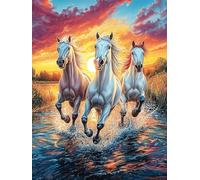 Trois Chevaux au Coucher de Soleil sur l'océan 1000 Pieces Casse-tête Collectionneur en Carton sans Déformation Très Difficile Motif Complexe Décoration Murale Cadeau Noël Premium 1000 PCS