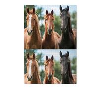 Trois Chevaux Noirs, Puzzles de 1000 pièces en Bois, Jeu Familial, décoration Murale pour Adultes et Adolescents