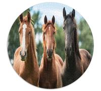 Trois Chevaux Puzzle 1000 Pièces Rond Papier Puzzle pour Adultes Paysage Champêtre