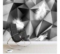 Trois Dimensions Noir Et Blanc Géométrique Plumes Blanches Papier Peint 3D Installation Facile Intissé Tapisserie Bureau Salon Canapé Chambre Décoration Murale-150cm×105cm