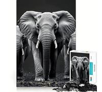 Trois éléphants en Noir et Blanc Puzzle de 1000 pièces pour Adolescents Jeu de réflexion et d'évasion Cadeau attentionné 38x52cm