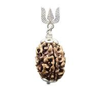 Trois Face en graines de Rudraksha Courroie, DE Perles Rudraksha Perles (Elaeocarpus Ganitrus) 100% original et certifié par Arihant pierres précieuses et bijoux