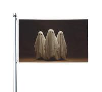 Trois fantômes Dark Fantasy Yard House Drapeaux, 9,5 x 1,5 m Saison Bannière de vœux avec œillets Décoration d'intérieur ou d'extérieur