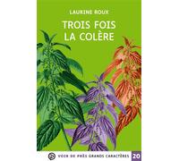 Trois fois la colere Grands caractères, édition accessible pour les malvoyants - Laurine Roux - Voir De Pres - broché - Roman