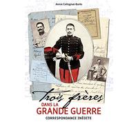 Trois frères dans la Grande Guerre: Correspondance inédite