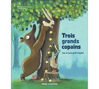 Trois grands copains Nadine Brun-Cosme (Auteur), Olivier Tallec (Auteur), Olivier Tallec (Illustration)