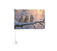 Trois hiboux sur branche d'arbre recouverte de neige Drapeau de voiture extérieur Clip 30 x 45 cm Double face Décoration de voiture