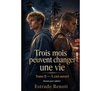 Trois mois peuvent changer une vie: Tome 2 : À ciel ouvert