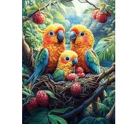 Trois perroquets dans Un nid Puzzles 1000 Pièces pour Adultes Educa Difficile Activité Créative Décoration Salon Jeu De Réflexion Cadeau Unique 1000 PCS