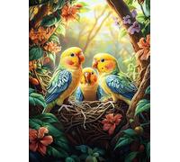 Trois perroquets dans Un nid Puzzles 300 Pièces pour Adultes Educa Qualité Supérieure Challenge Difficile Détente Créative Décoration Salon 300 PCS