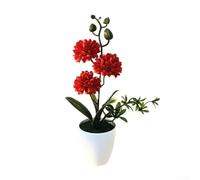 Trois petites boules de chrysanthème dans un pot décoratif pour studio, appartement, espace de vie ou pour améliorer la maison ou le bureau (rouge)