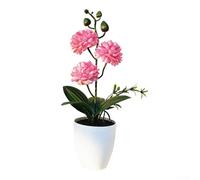 Trois petites boules de chrysanthème dans un pot décoratif pour studio, appartement, espace de vie ou pour améliorer la maison ou le bureau (rose rouge)