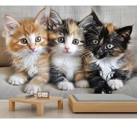 Trois petits chats-fleurs Décoration murale 3D autocollante, idéale pour chambre, salle de bain et salon. Papier peint décoratif. 200x140cm (non autocollant)