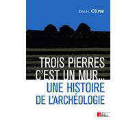 Trois pierres c'est un mur... Une histoire de l'archéologie Eric H. Cline (Auteur), Jacques Dalarun (Traduction), Glynnis Fawkes (Illustration)