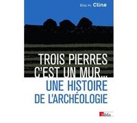 Trois pierres c'est un mur... Une histoire de l'archéologie Eric H. Cline (Auteur), Jacques Dalarun (Traduction), Glynnis Fawkes (Illustration)