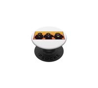 Trois singes Hipster sages entendent Parler et ne voient Pas Le Mal PopSockets PopGrip Adhésif