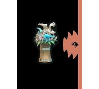 Trolls de Troy - Intégrale Coffret T01 à T04