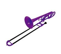 Trombone Standard Instrument Trombone Ténor En Si Bémol Instrument En Laiton Pour Débutants Examens Notés Et Performances Professionnelles(Purple)