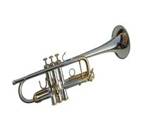 Trompette Dinstrument De Musique Débutants Jouant De La Trompette En Ut Instrument Adulte