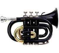 Trompette Instrument a Vent Cuivre 3 Pistons Embouchure Etui Chiffon Set Noir