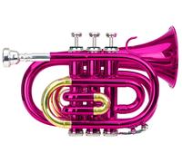 Trompette Instrument a Vent Cuivre 3 Pistons Embouchure Etui Chiffon Set pink