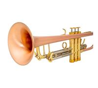 Trompette La Trompette En Si Bémol Instrument De Performance Professionnelle Est Facile À Apprendre