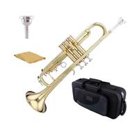 Trompette professionnelle en laiton ton Sib instrument pour débutant