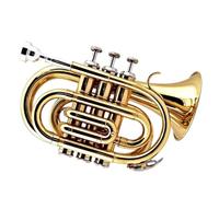 Trompette Professionnelle Instrument Instrument De Trompette Plaqué Or Et Nickel Pour Débutants(Gold)