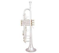 Trompette Professionnelle Instrument Trompette En Si Bémol Argent Clé Dorée Instruments De Musique Professionnels Avec Étui(Silver)