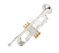 Trompette Professionnelle Instrument Trompette En Si Bémol Clé En Argent Et Or Instrument De Musique Professionnel Avec Boîte Adulte
