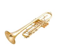 Trompette Professionnelle Instrument Trompette En Si Bémol En Laiton Plaqué Argent Instrument De Musique Professionnel Avec Étui En Cuir