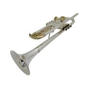 Trompette Professionnelle Instrument Trompette En Si Bémol Instrument De Musique Professionnel En Laiton Plaqué Argent Doré Avec Étui