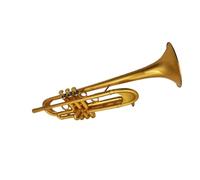 Trompette Professionnelle Instrument Trompette En Si Bémol Pavillon En Laiton Jaune Plaqué Or Instrument De Musique Professionnel Avec Étui