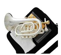 Trompette Professionnelle Instrument Trompette Professionnelle En Si Bémol Plaquée Argent Avec Étui En Alliage