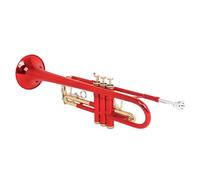 Trompette professionnelle standard pour débutant Instruments de musique avec étui de rangement pour étudiant standard avec étui