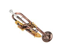 Trompette Professionnelle Trompette En Sib Instrument À Clé Dorée Avec Étui