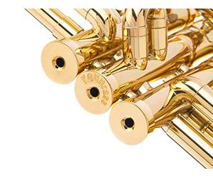 Trompette Trim Kit pour améliorer le Sound. pour tous Bach Stradivarius Trompette. Fabriqué sur mesure Kgubrass LIGHT Gold Plated 24K