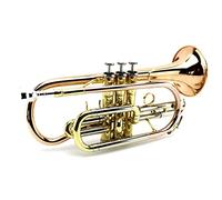 Trompettes Instrument De Cornet De Bronze De Phosphore B-plat Trompette Instrument
