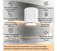 Tron Ambience Hotte îlot aspirante Ø 38 cm 540 m³/h classe A - blanche A