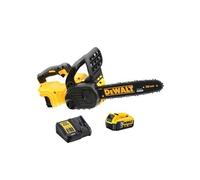 Tronçonneuse 18V XR guide de 30 cm - - avec 1 batterie 18V 5.0AH - chargeur - DCM565P1