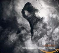 Trondheim Jazz Orchestra - Migrations
