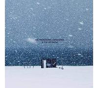 Tronosonic Experience,the - II: the Big Blow (Vinyl)