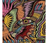 Tronosonic Experience - The Shadow 2 [Vinyl]