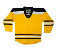 TronX Vêtements de jeu DJ300 - Maillot de hockey sur glace senior (DE/NL/SE/PL, alphanumérique, XXL, régulier, Boston Bruins - Doré), or