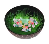 TROONZ Bol de Coquille de Noix de Coco Naturelle | Bol de céréales polies | Décoration de la Maison pour Le Bureau, Service à Domicile, Fruits, Noix, Stockage de clés, Bols à Salade pour salades