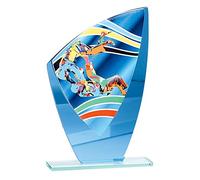 Trophée Couleur V-Series