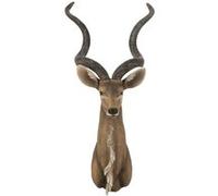 Trophée Mural Tête d'Antilope 85cm Marron