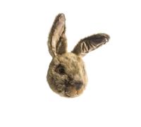 Trophée peluche Lièvre Lewis